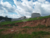 Terreno, 492 m² - Foto 4
