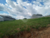 Terreno, 492 m² - Foto 1