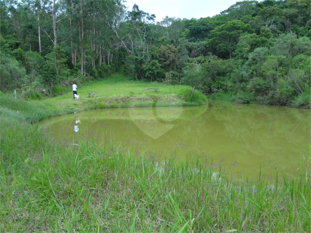 Chácara, 4 quartos, 4 hectares - Foto 3