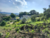 Terreno, 250 m² - Foto 12