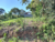 Terreno, 250 m² - Foto 4