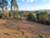 Terreno, 2600 m² - Foto 4