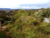 Terreno, 475 m² - Foto 5
