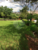 Chácara, 8 quartos, 1 hectares - Foto 9