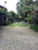 Casa, 3 quartos, 334 m² - Foto 3