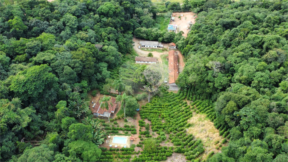 Terreno, 9650 m² - Foto 6