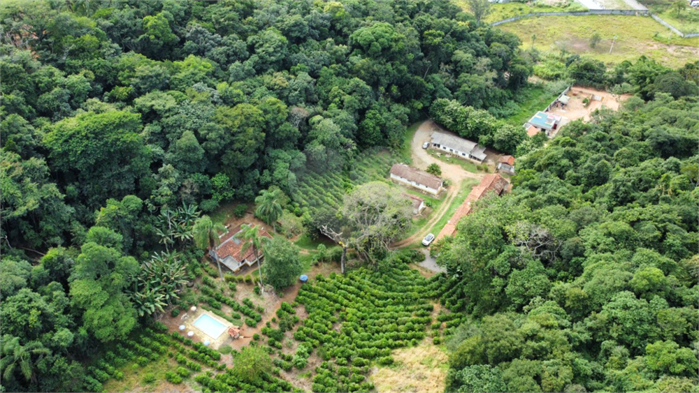 Terreno, 9650 m² - Foto 8