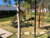 Terreno, 914 m² - Foto 5