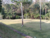Terreno, 603 m² - Foto 7