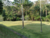 Terreno, 603 m² - Foto 8