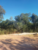 Terreno, 300 m² - Foto 12