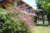 Sobrado, 10 quartos, 780 m² - Foto 5