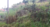 Terreno, 2033 m² - Foto 4