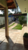 Chácara, 3 quartos, 1000 m² - Foto 4