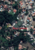 Terreno, 250 m² - Foto 3
