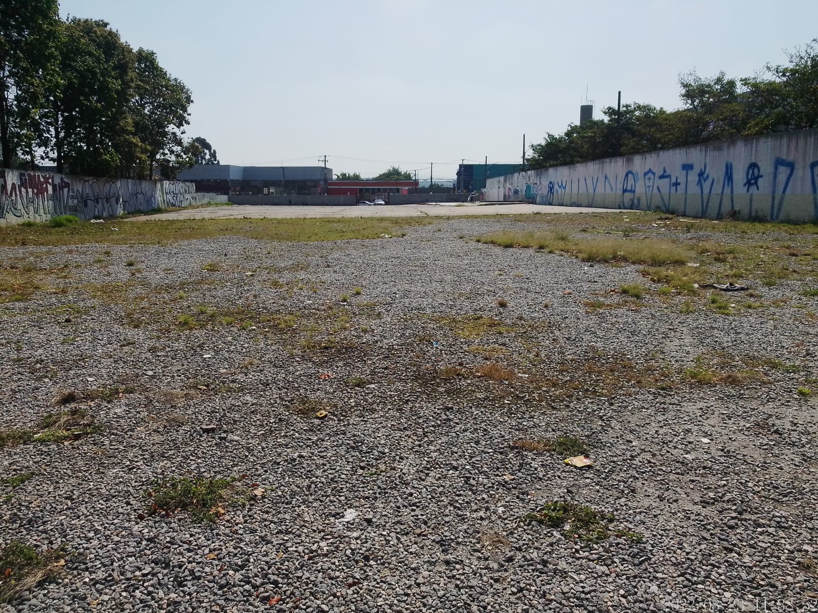 Terreno, 5000 m² - Foto 5