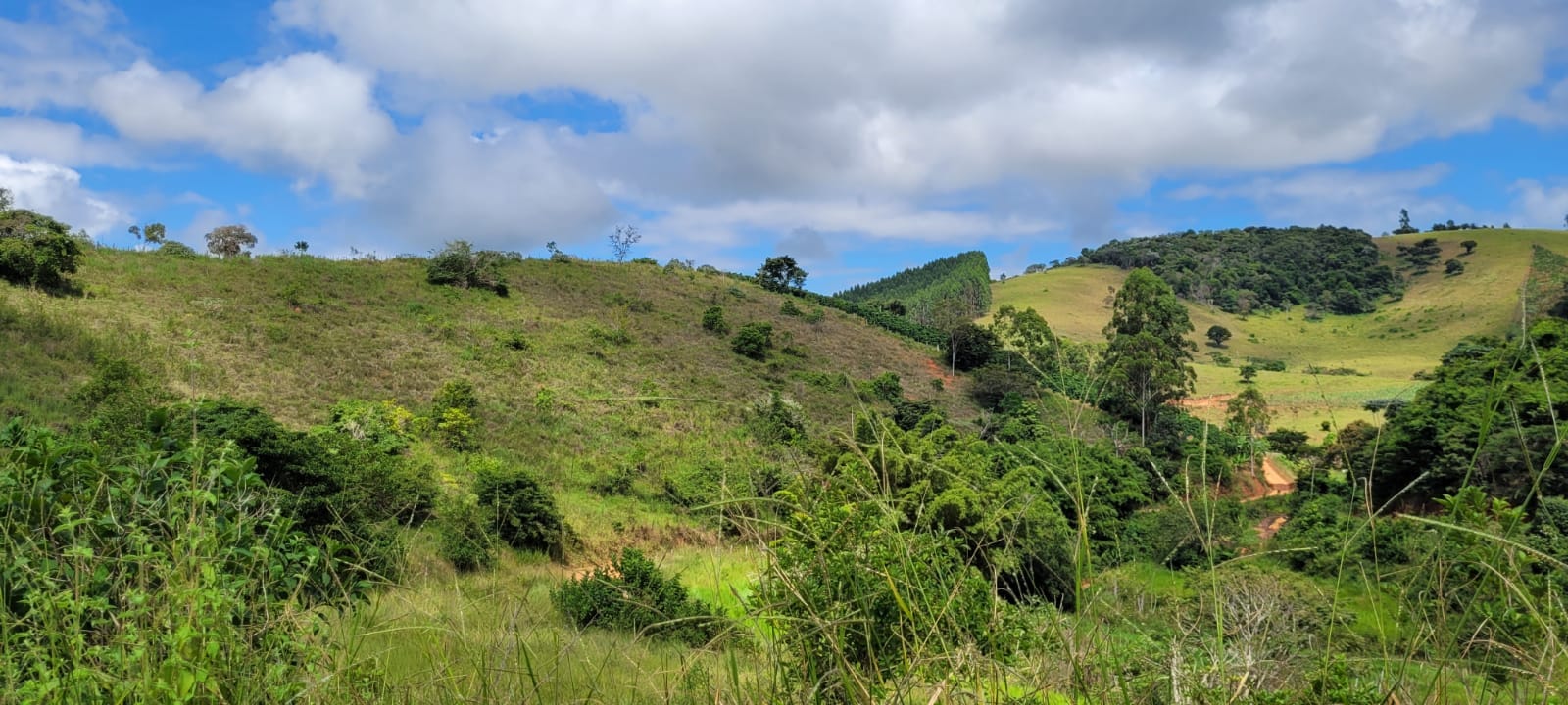 Sítio à venda, 55000m² - Foto 36