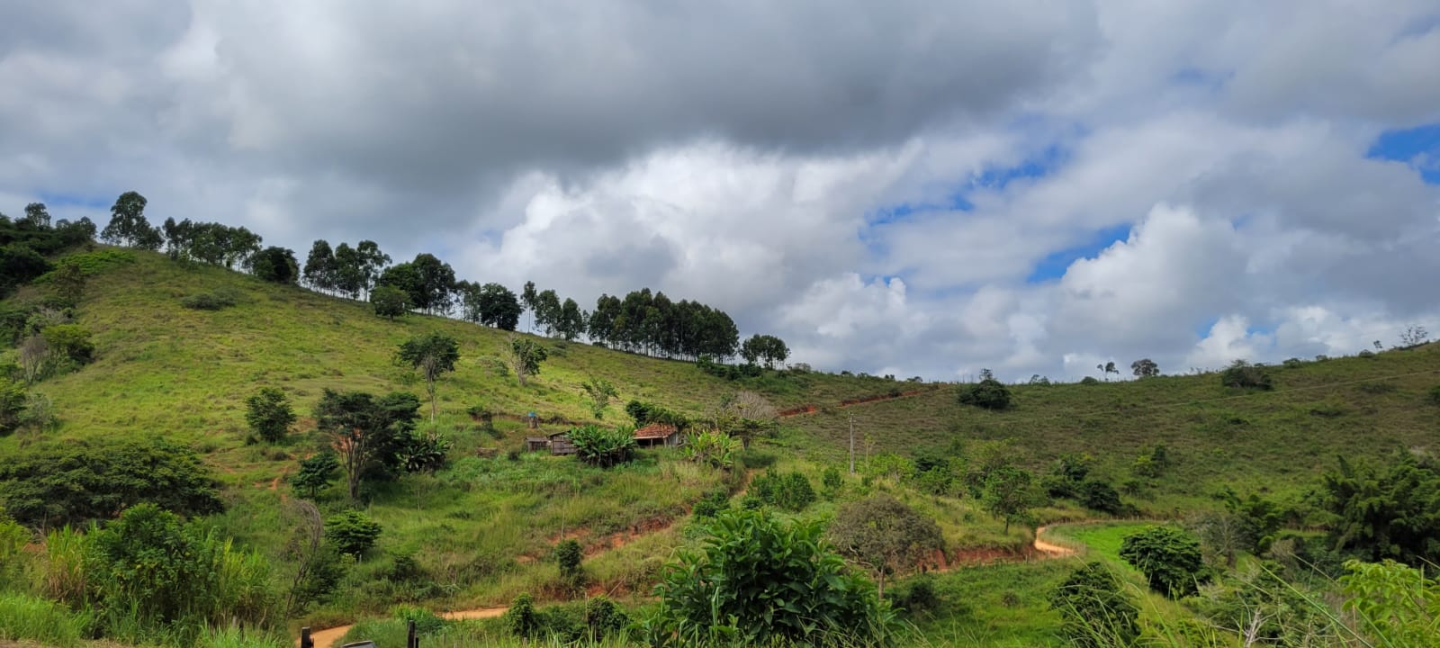 Sítio à venda, 55000m² - Foto 15