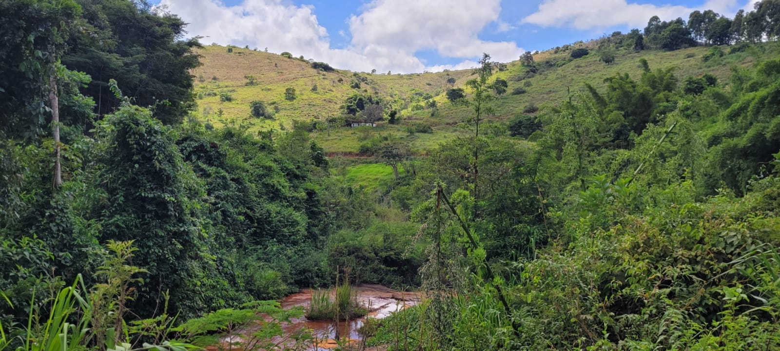 Sítio à venda, 55000m² - Foto 3