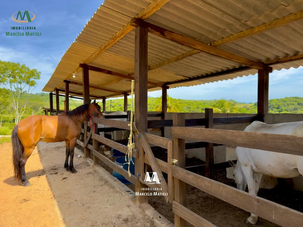 Chácara, 2 quartos, 4 hectares - Foto 4