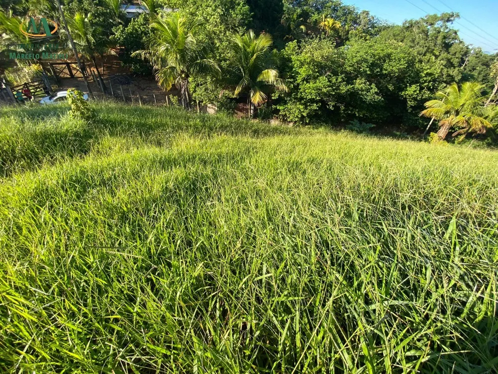 Terreno, 5000 m² - Foto 4