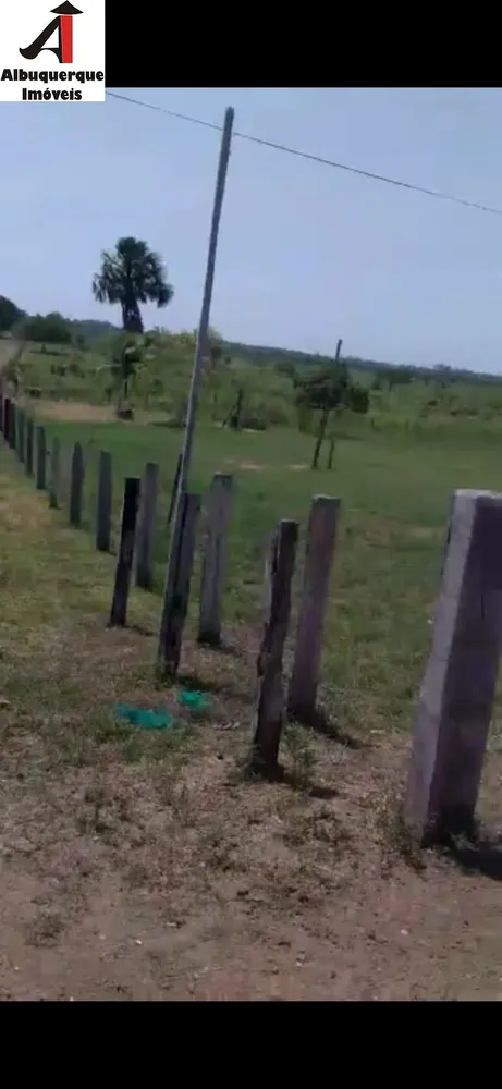 Fazenda, 1748 m² - Foto 6