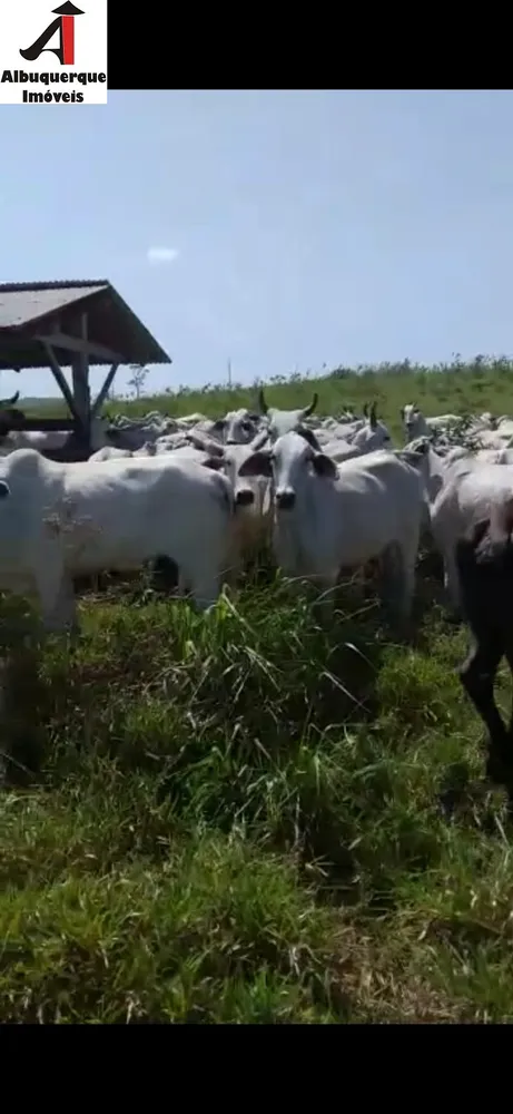 Fazenda, 1748 m² - Foto 8