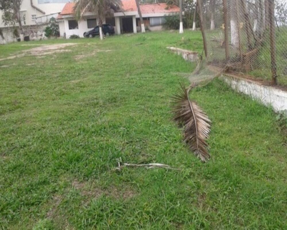 Terreno, 1 hectares - Foto 4