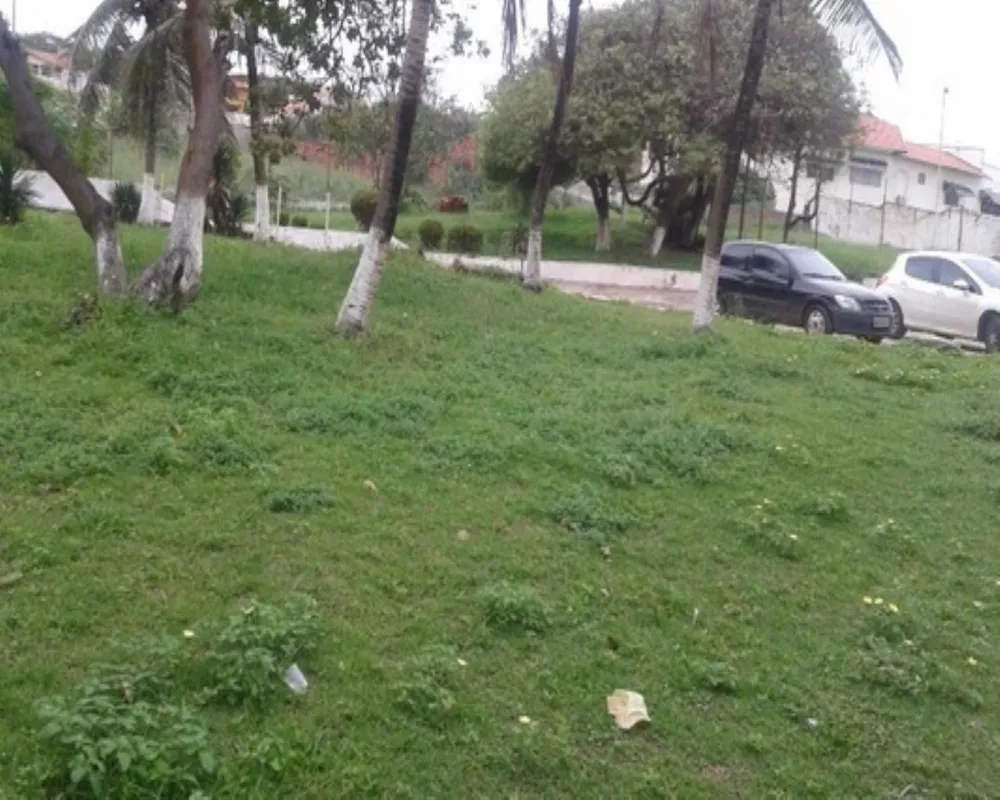 Terreno, 1 hectares - Foto 8