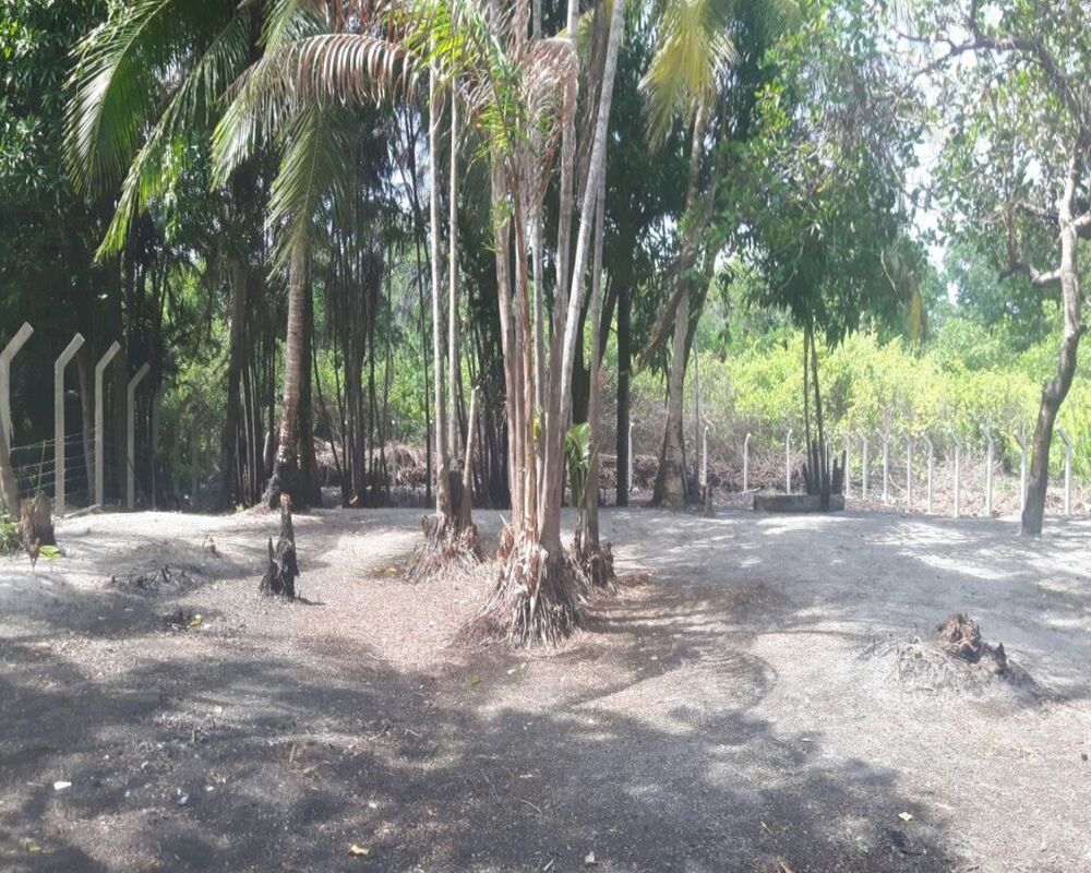 Terreno, 2000 m² - Foto 2