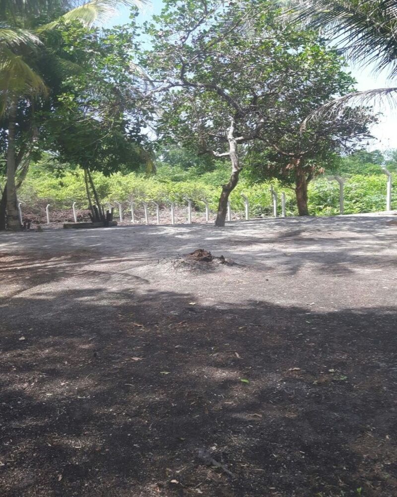 Terreno, 2000 m² - Foto 3