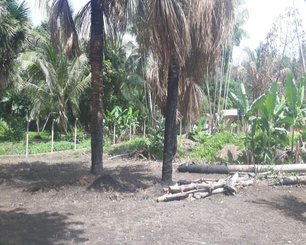 Terreno, 2000 m² - Foto 1