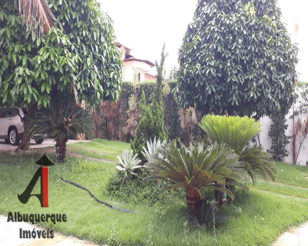 Casa, 4 quartos, 800 m² - Foto 4