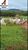 Fazenda, 4100 m² - Foto 3