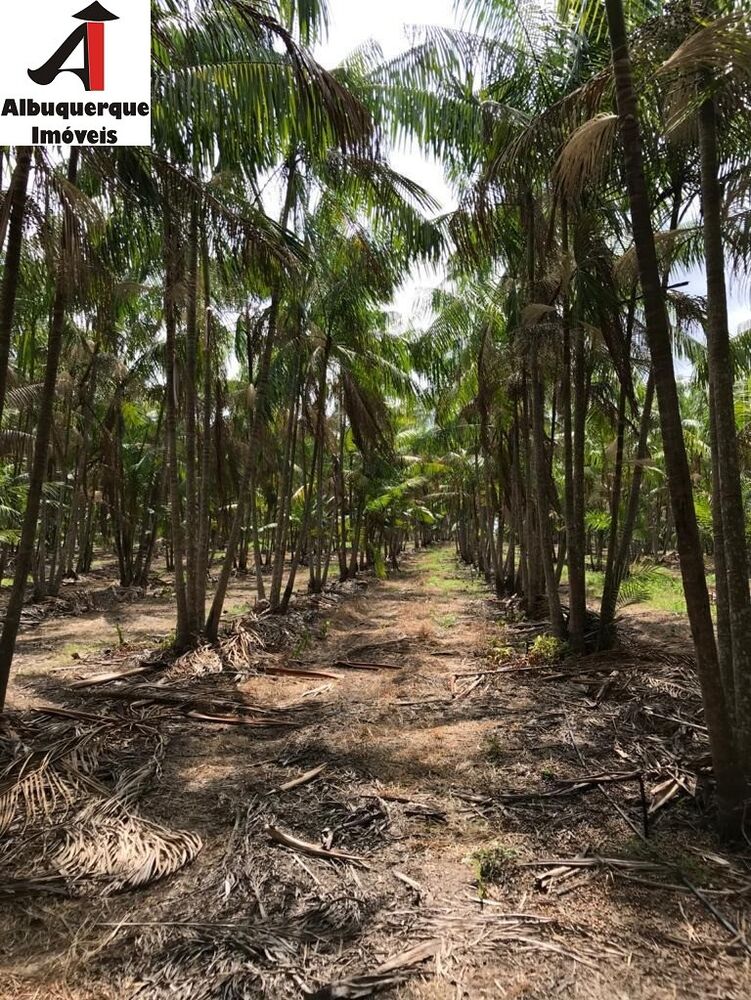 Fazenda à venda, 1039m² - Foto 3