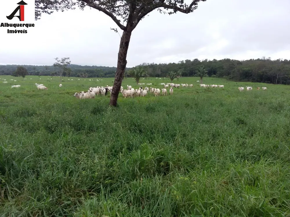Fazenda, 1039 m² - Foto 6