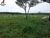 Fazenda, 1039 m² - Foto 1