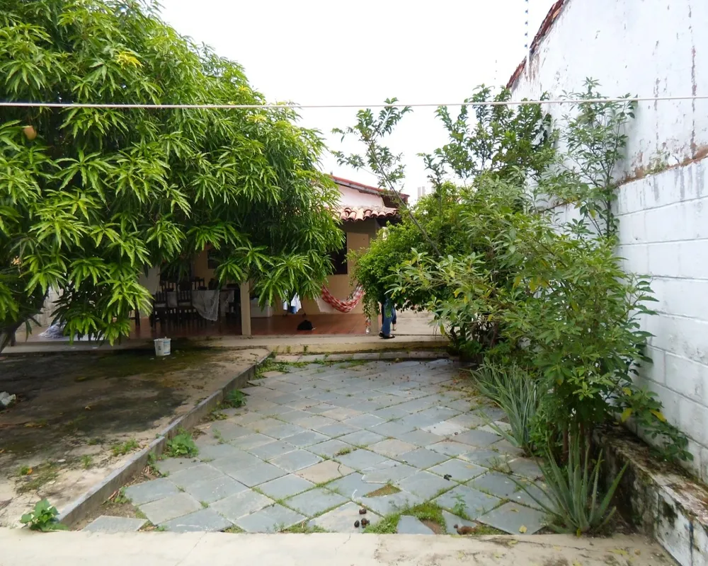 Casa, 3 quartos, 550 m² - Foto 3