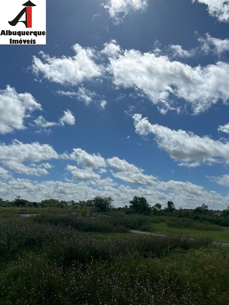 Loteamento e Condomínio, 5 hectares - Foto 3