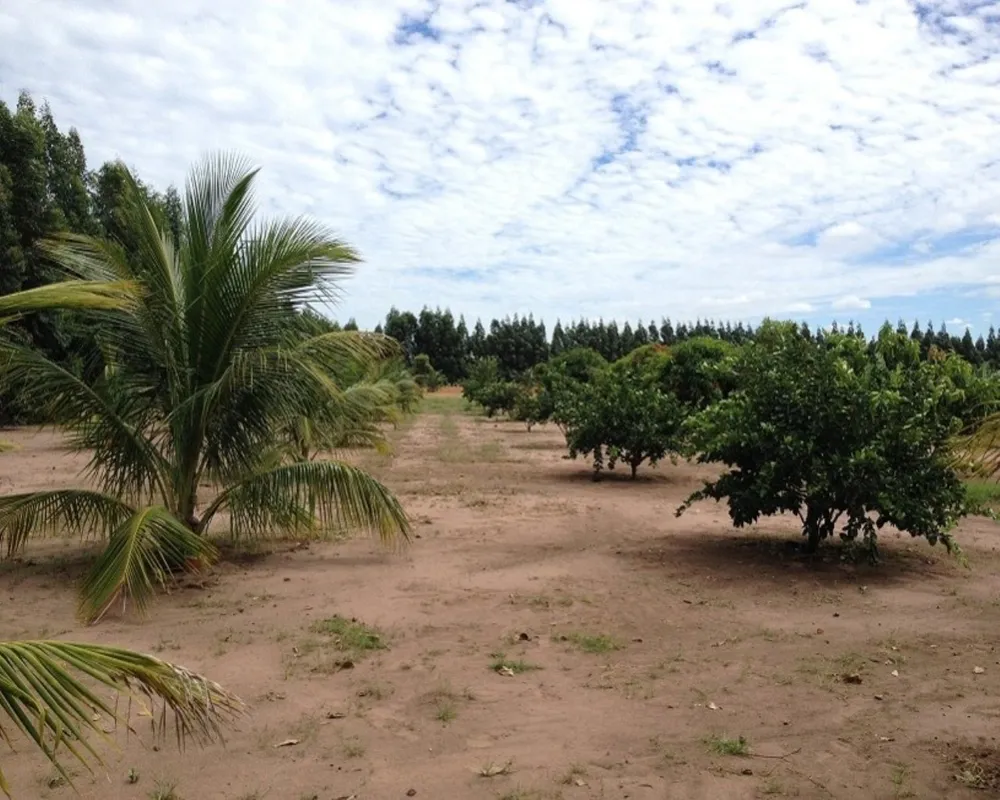 Fazenda - Foto 14