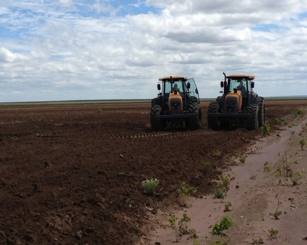 Fazenda - Foto 10