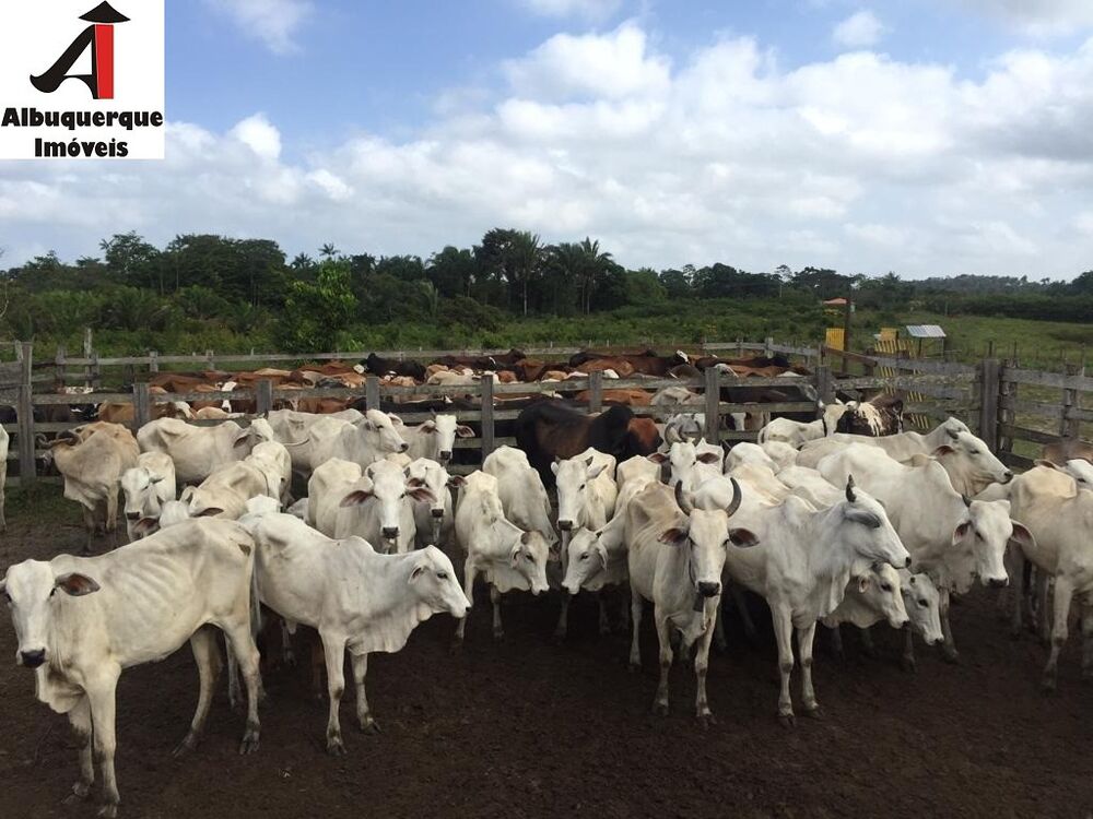 Fazenda à venda, 863m² - Foto 1