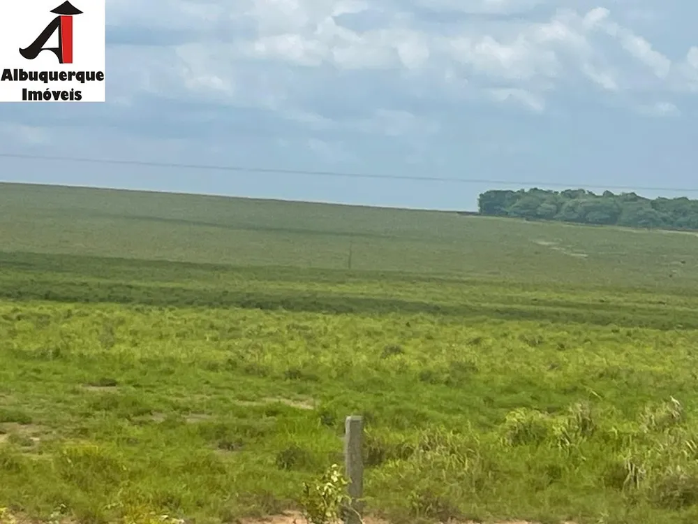 Fazenda - Foto 8
