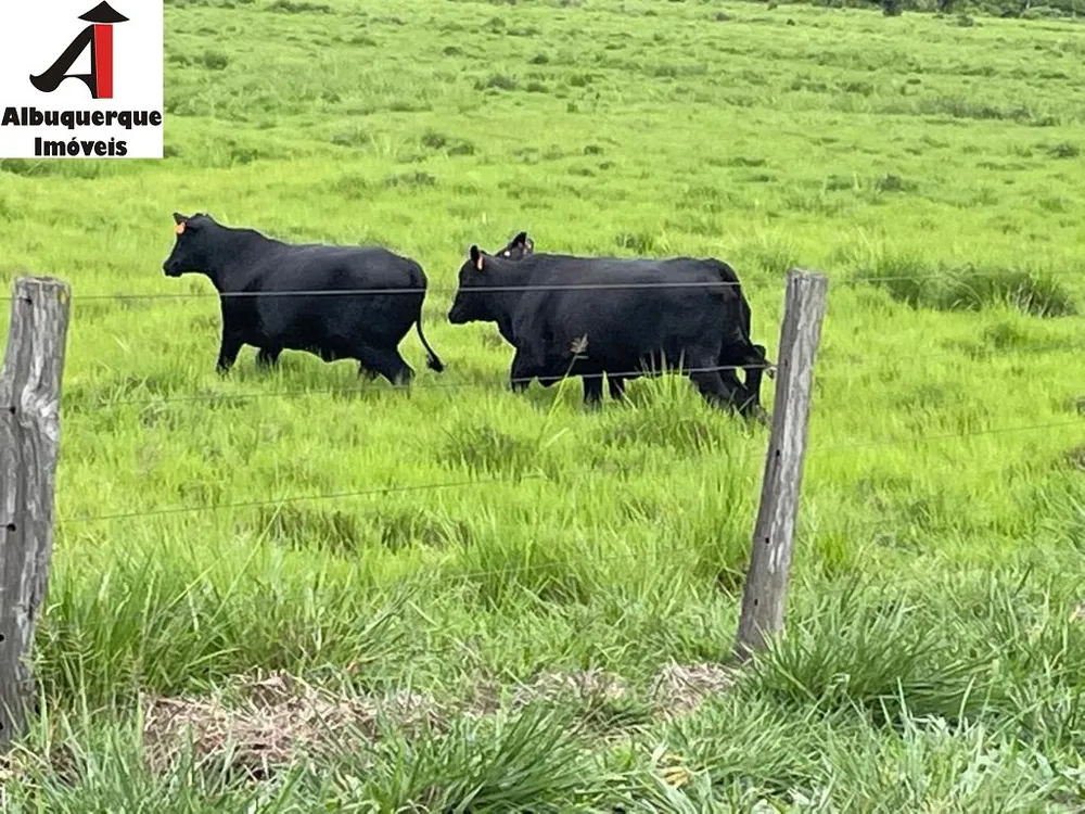 Fazenda - Foto 2
