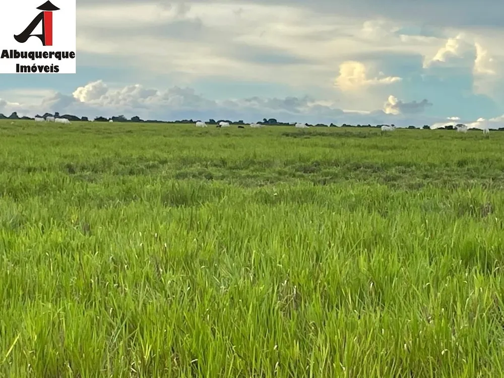 Fazenda - Foto 12