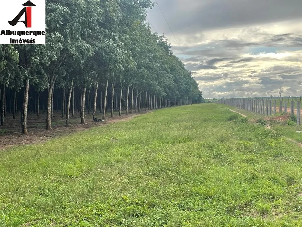 Fazenda - Foto 10