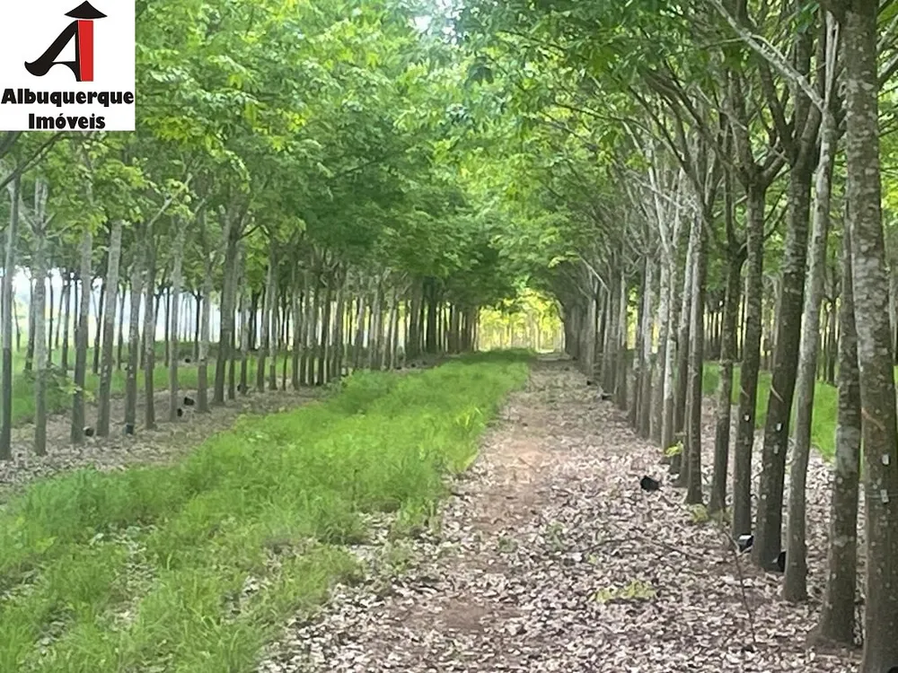 Fazenda - Foto 9