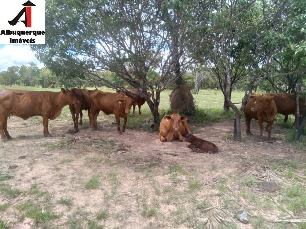 Fazenda à venda, 740m² - Foto 3