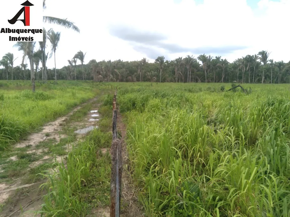 Fazenda, 740 m² - Foto 16