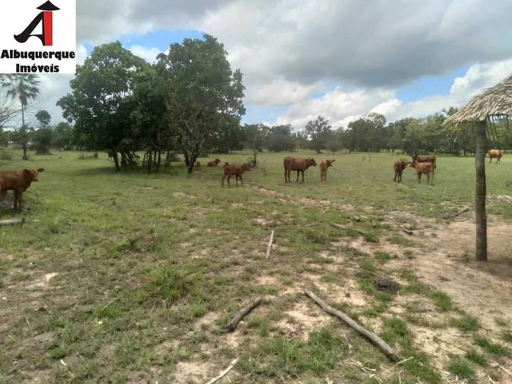 Fazenda, 740 m² - Foto 1